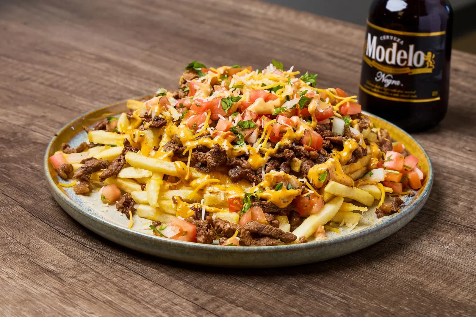 Carne asada fries San Diego style at Mr. Birria