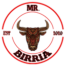 Mr. Birria logo